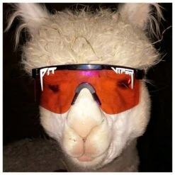 Lunettes De Soleil Pit Viper The Originals The Mud Slinger -Surfen Geschäft 06aa3b6cdf709eae284a1df91110fcc843e380ea E22PITVLUN345861 PITV0202928 904