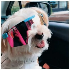 Lunettes De Soleil Pit Viper The Originals Polarized The Gobby -Surfen Geschäft 124e919e2440568908fe50aff1b4c09ef7c1cba5 E22PITVLUN345854 PITV0202910 902