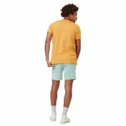 Tee-shirt Picture Namara Pumpkin -Surfen Geschäft 17e2e9fd281a45e6e2abc4ca15b9439f4f0e8178 E23PICTTEH3362877 902