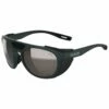 Lunettes De Soleil Bolle Adventurer Forest Black Solace4 Brown Gun
