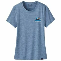 Tee-shirt Patagonia Capilene Cool Daily Graphic Shirt Waters No Dams Orca Steam Blue X-Dye