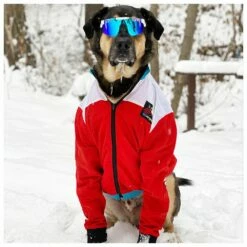 Lunettes De Soleil Pit Viper The Originals Polarized The Absolute Freedom 13 Lunettes De Soleil Pit Viper The Originals Polarized The Absolute Freedom -Surfen Geschäft 3c40298695efe3d5ca6bc522e1d4afcd07d0a2e7 E22PITVLUN345854 PITV0202902 902