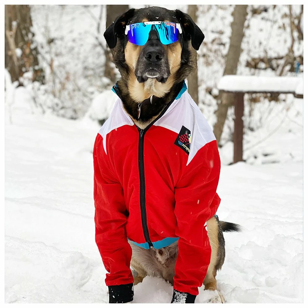 Lunettes De Soleil Pit Viper The Originals Polarized The Absolute Freedom 7 Lunettes De Soleil Pit Viper The Originals Polarized The Absolute Freedom – Image 5