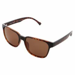Lunettes De Soleil Red Bull Spect Cary Shiny Havana Brown