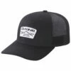 Casquette Dakine Mtn Lines Trucker Black