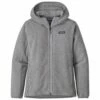 Veste Patagonia Lw Better Sweater Hoody Feather Grey