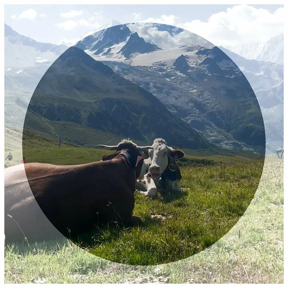 Lunettes De Soleil Vuarnet Legend 06 Valley Noir Grey Polar 7 Lunettes De Soleil Vuarnet Legend 06 Valley Noir Grey Polar – Image 5