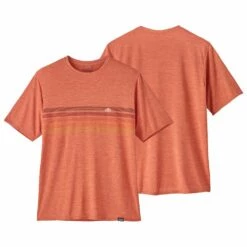 Tee-shirt Patagonia M's Cap Cool Daily Graphic Line Logo Ridge Stripe -Surfen Geschäft 722a08a0b73942031ea7be4b89b5f113fd8b7e6a E22PATATEH2357198 901