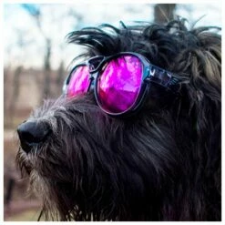 Lunettes De Soleil Pit Viper The Exciters Polarized The Smoke Show -Surfen Geschäft 8a0bc49ed0cc81f76dafd89081ae89d251b074c5 E22PITVLUN345864 PITV0202937 901