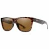 Lunettes De Soleil Smith Lowdown 2 Tortoise Polarized Bronze 1 Lunettes De Soleil Smith Lowdown 2 Tortoise Polarized Bronze -Surfen Geschäft 95b8f6ce7a951c0a98883e1e6be551b4d6c8c1ec E21SMITLUN176584 SMIT0466520 0