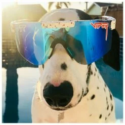 Lunettes De Soleil Pit Viper Originals Double Wides Polarized The Absolute Freedom 12 Lunettes De Soleil Pit Viper Originals Double Wides Polarized The Absolute Freedom -Surfen Geschäft afca1de7ae11797f325a40b3da7a79347e54a33f E22PITVLUN345855 PITV0202947 901