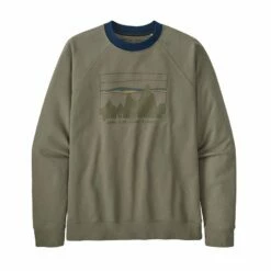 Sweat Patagonia Sweat73 Skyline Organic Crew - Garden Green