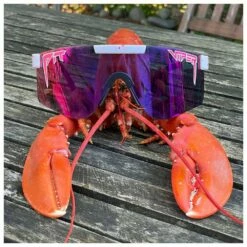 Lunettes De Soleil Pit Viper The Originals Polarized The LA Brights -Surfen Geschäft bfaa418096bc02338151da94250cd77ba2a17d18 E22PITVLUN345854 PITV0202916 904