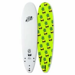 Board De Surf Wave Bandit By Catch Surf Ben Gravy - EZ Rider