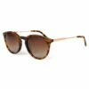 Lunettes De Soleil Binocle Eyewear California Metal Tortoise Brown Polarized -Surfen Geschäft ffd6cb679f81d535389799d2706712d1af912c1d E23BINOLUN391120 BINO0752055 0